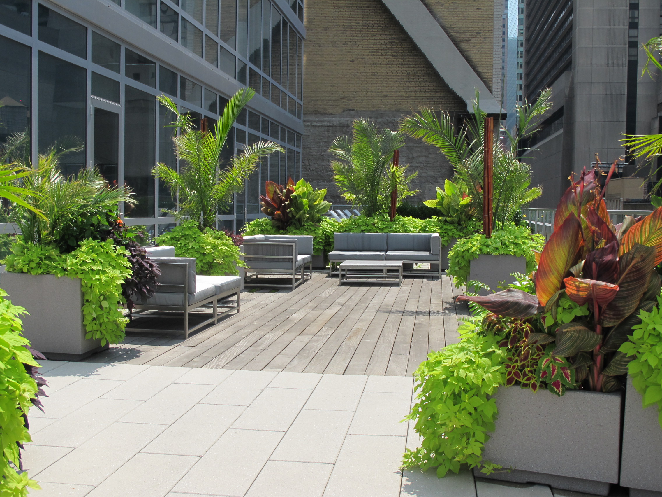 Roof Deck Garden tropical roof deck city gardens of ny Roof Deck Garden tropical roof deck city gardens of ny